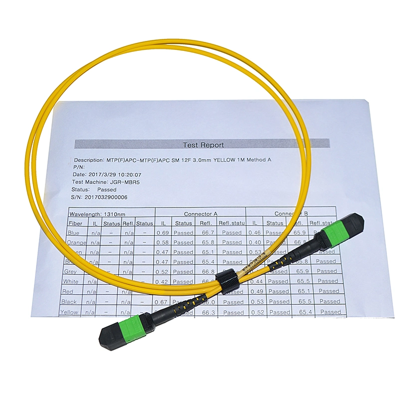 Om3/Om4 MPO Connector Patch Cord 12 Fiber MPO Trunk Cable 8/12/24f MTP MPO Cable