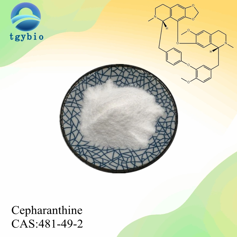 Stephania Japonica Extrakt 98% Cepharanthin CAS 481-49-2 für Anti-Tumor