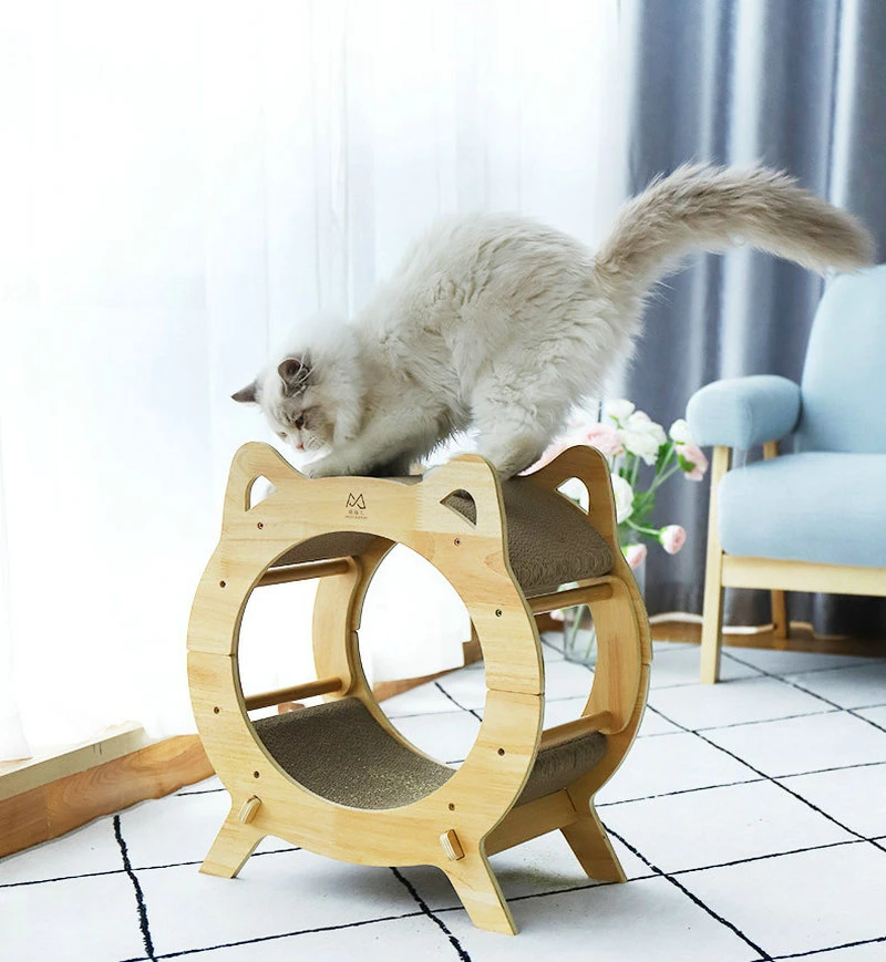 إطار تسلق متعدد الوظائف من Cat Tree مزدوج الطبقات مضلع Wbb19362