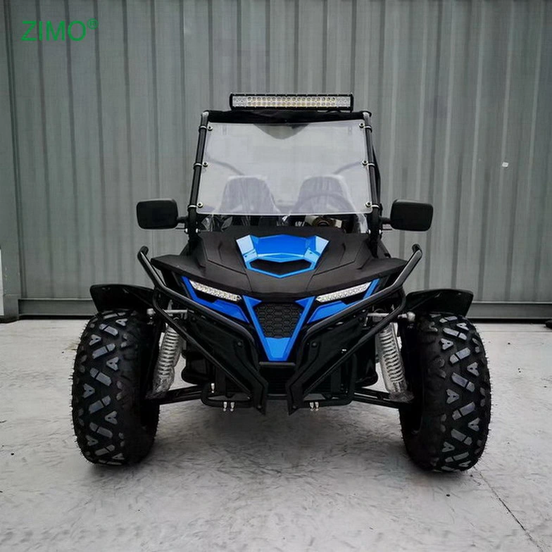 300 سي سي جي شارع البنزين القانونية خارج الطريق UTV Buggy الذهاب كارتس