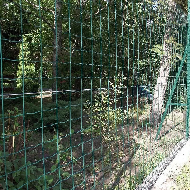 Holland Garden Wire Mesh/Euro Fence/Wire Mesh Fence/Dutch Weing Wire Mesh سور اليورو / سور يورو بسور يورو مصنوع من البلاستيك الأخضر