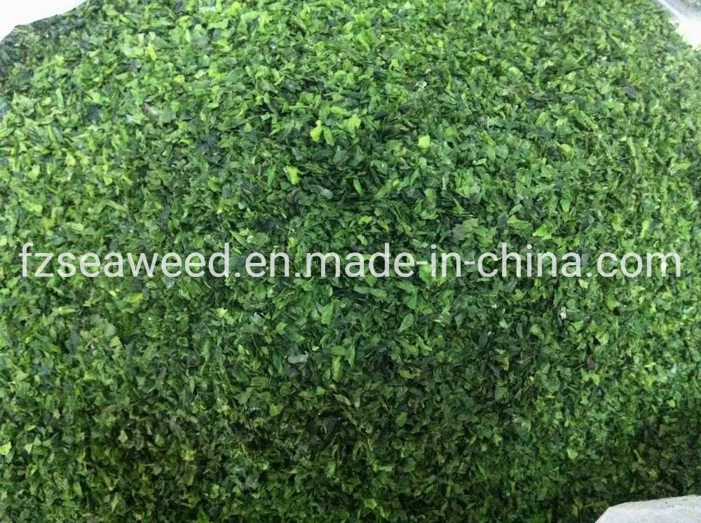 High quality/High cost performance  Sea Vegetable Dried Seaweed Alga Ulva Green Nori Chips