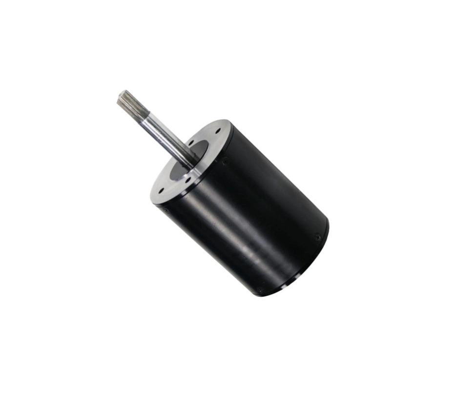 220V DC BLDC Brushless 800&plusmn; 5%Rpm BLDC Electric Motor