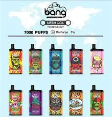 USA Hot Sell Bang 7000 Puffs Vape Fruit Juice Flavors 15ml Mesh Coil 5% Nic Best Taste Puffs Disposable Vape Pen