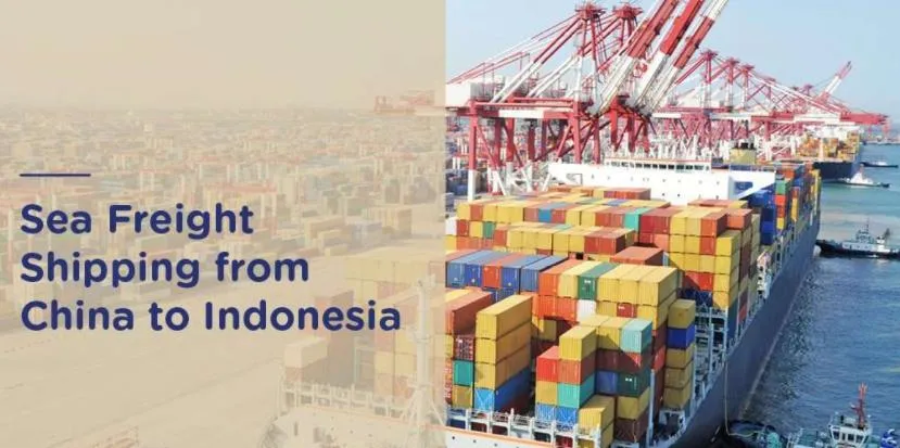 Cheapest Shipping Rates Air/Sea Cargo Services China to Indonesia Freight Forwarder