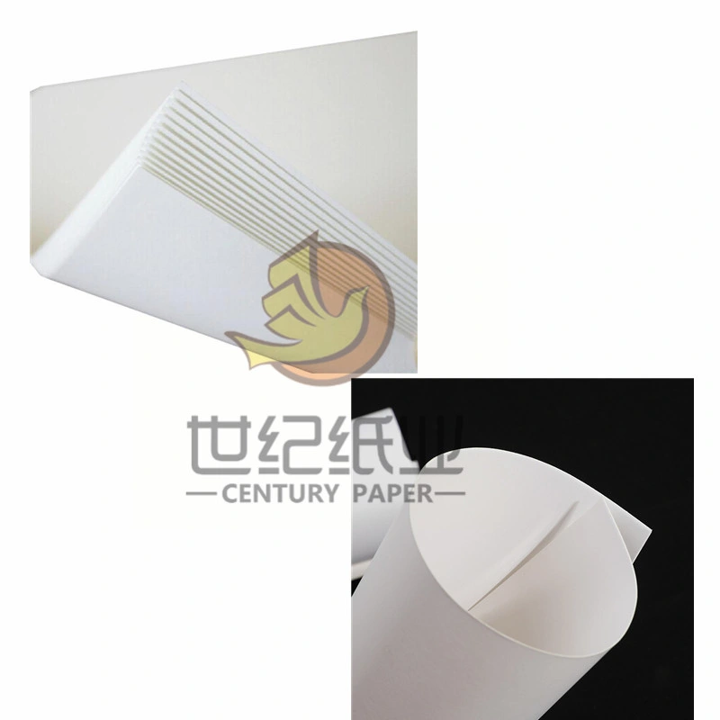 C1s Ivory Board PE Coated Paper Roll- 250 GSM- 400 GSM in Sheet of 70 X 100