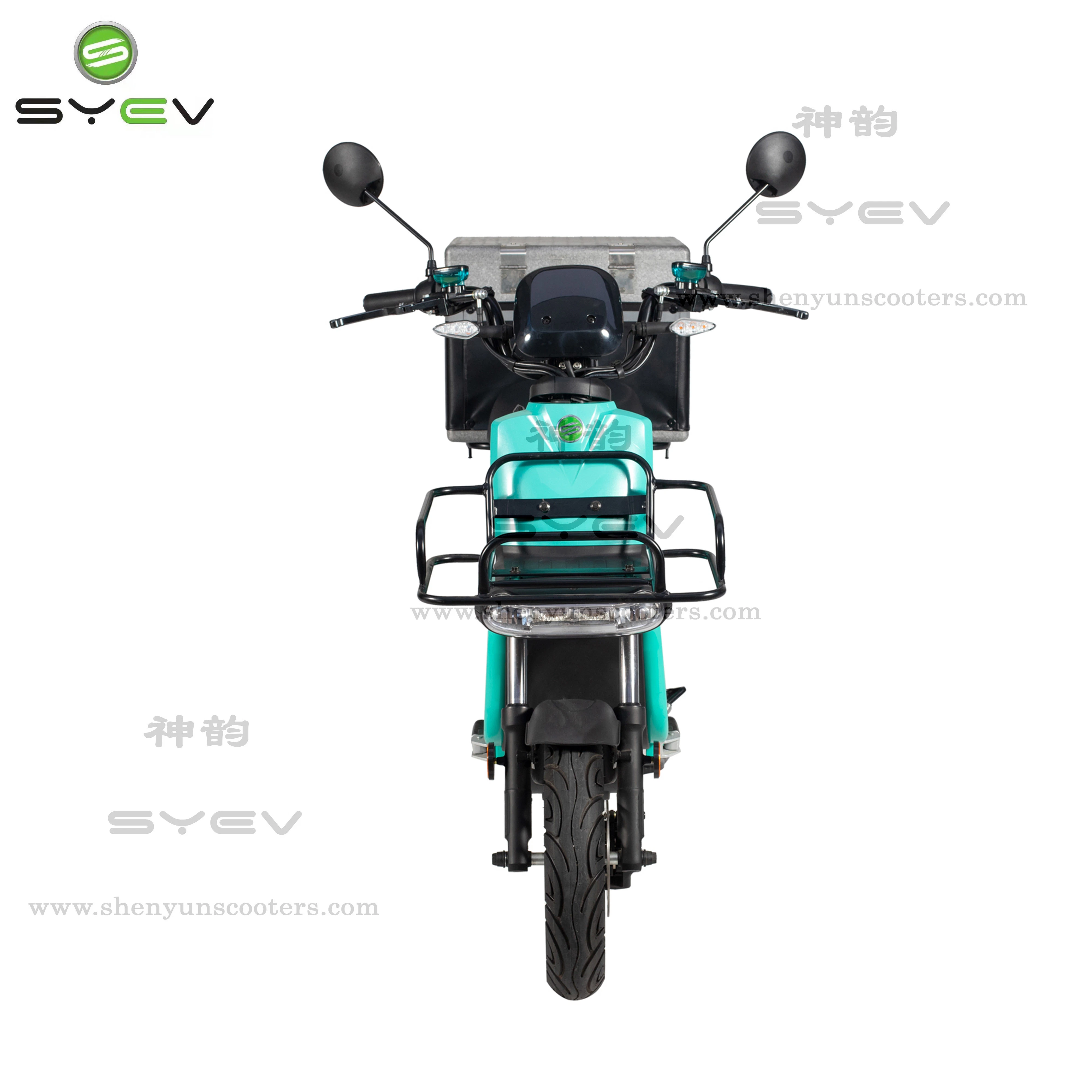 Shenyun The Latest High-End EEC Electric Delivery Bike for Fast Food Delivery 45km/H 1200W Powerful Motor with Shelves