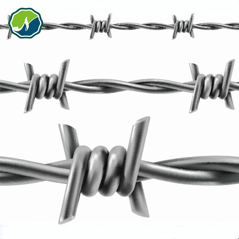 Bto10 Bto22 Bto28 Bto30 Cbt60 Cbt65 PVC Coated Hot Dipped Electric Galvanized Razor Concertina Barbed Wire for Fence