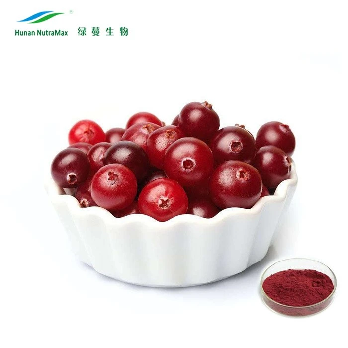 100% Natural Cranberry Fruit Juice Powder Extract (4: 1 to 25: 1)