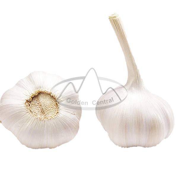 China/Chinese Fresh White Garlics Supplier (red garlic/white garlic) 500g/1kg