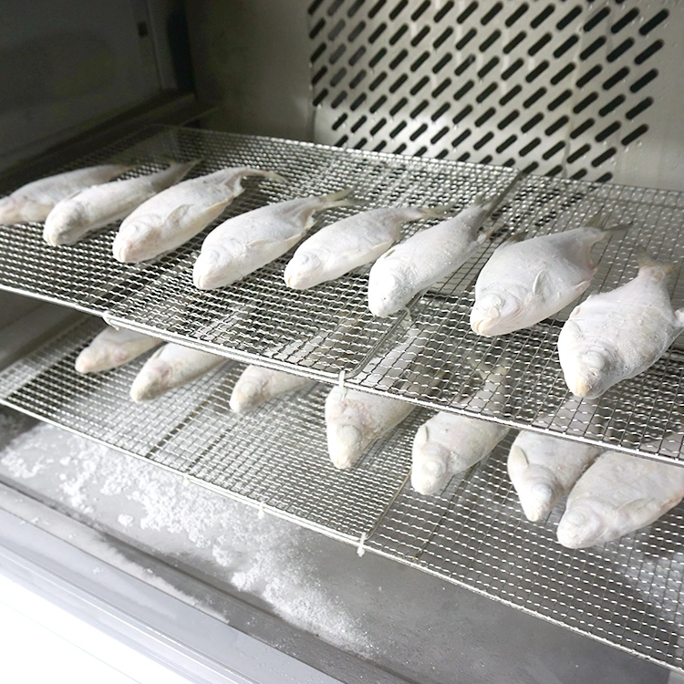 Bester Preis Blast Freezer für Eis schnell Luft Blast Frosten für Meeresfrüchte Fischfleisch zum Verkauf