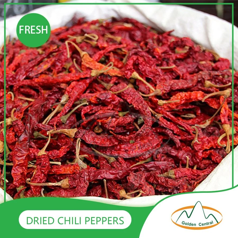 Top Produkt 100% Reine Getrocknete Chili Best Natural Hot Dry Red Chili Top Qualität Getrocknete Red Chili