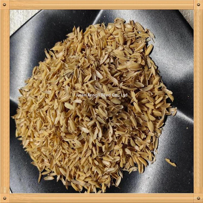Protéine la matière organique élevée est son avantage riz Husk poudre Polyvalent