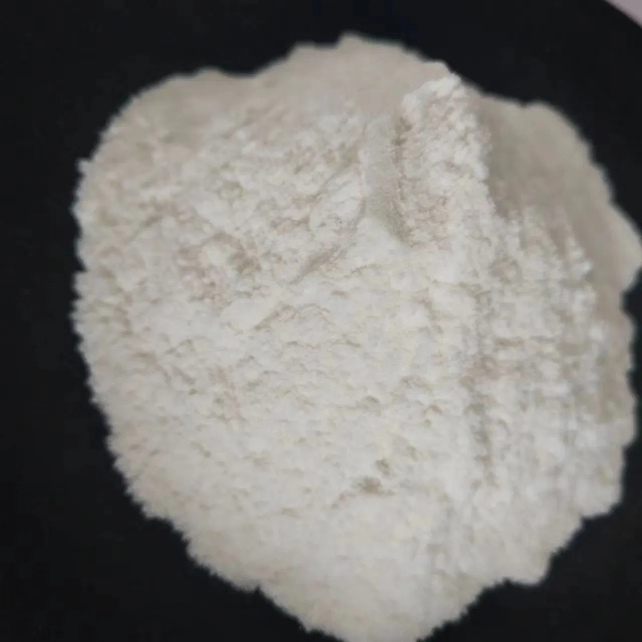 Factory Supply 99% CAS 57219-64-4 Zirconium Basic Carbonate / Zirconium Carbonate Zbc