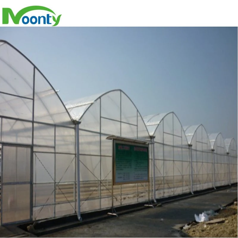 Factory Price Round Roof Multi-Span PE/Po Film Greenhouse for Vegetable/ Flower/ Herb Growing