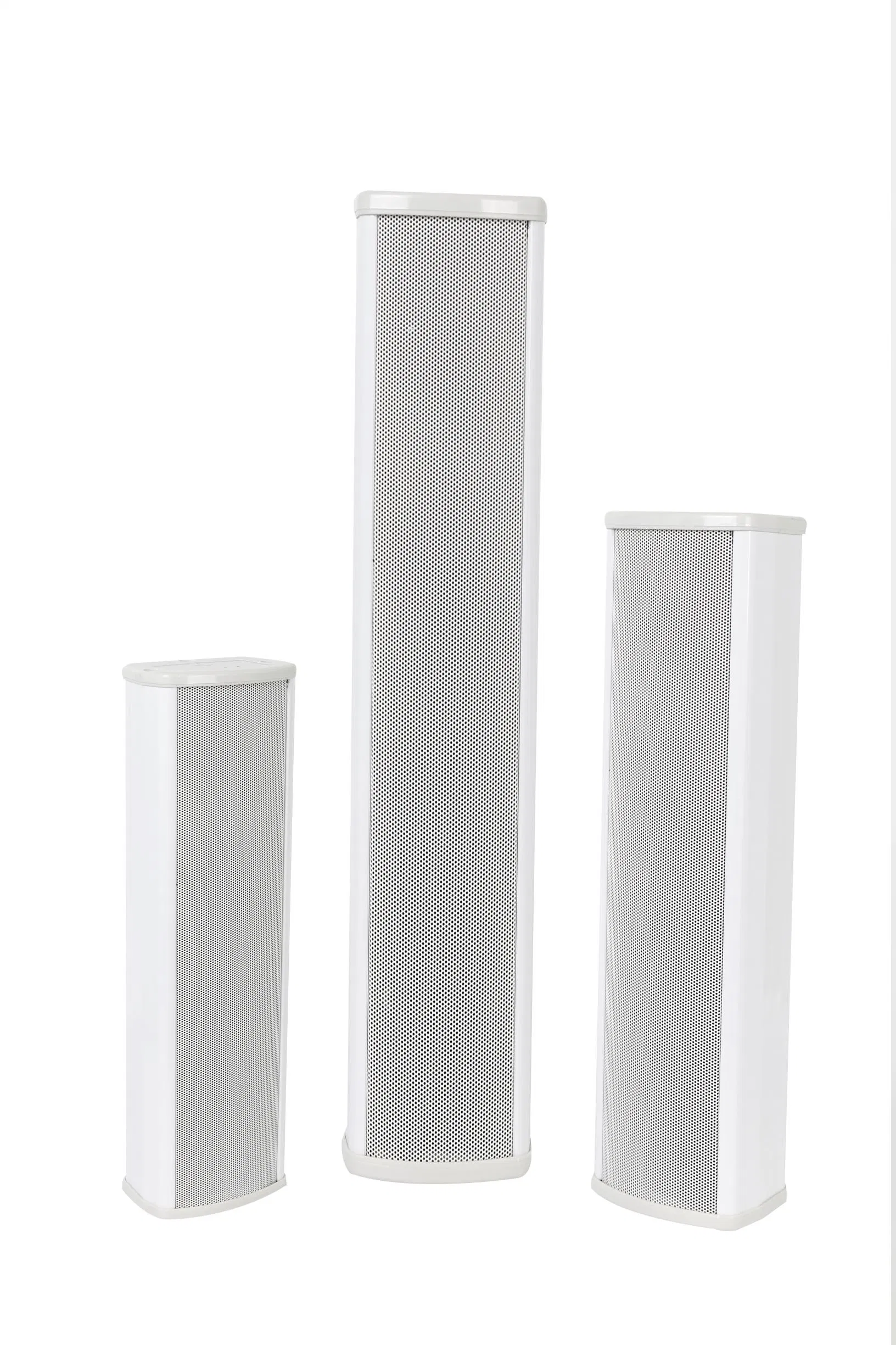 PA System 2&times; 2.5" Outdoor Column Speaker