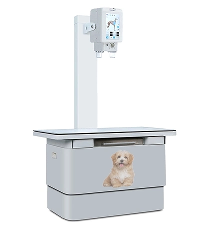 Veterinary Equipment Medical Animal Hospital Clinic 20kw Veterinary Digital X Ray Machine