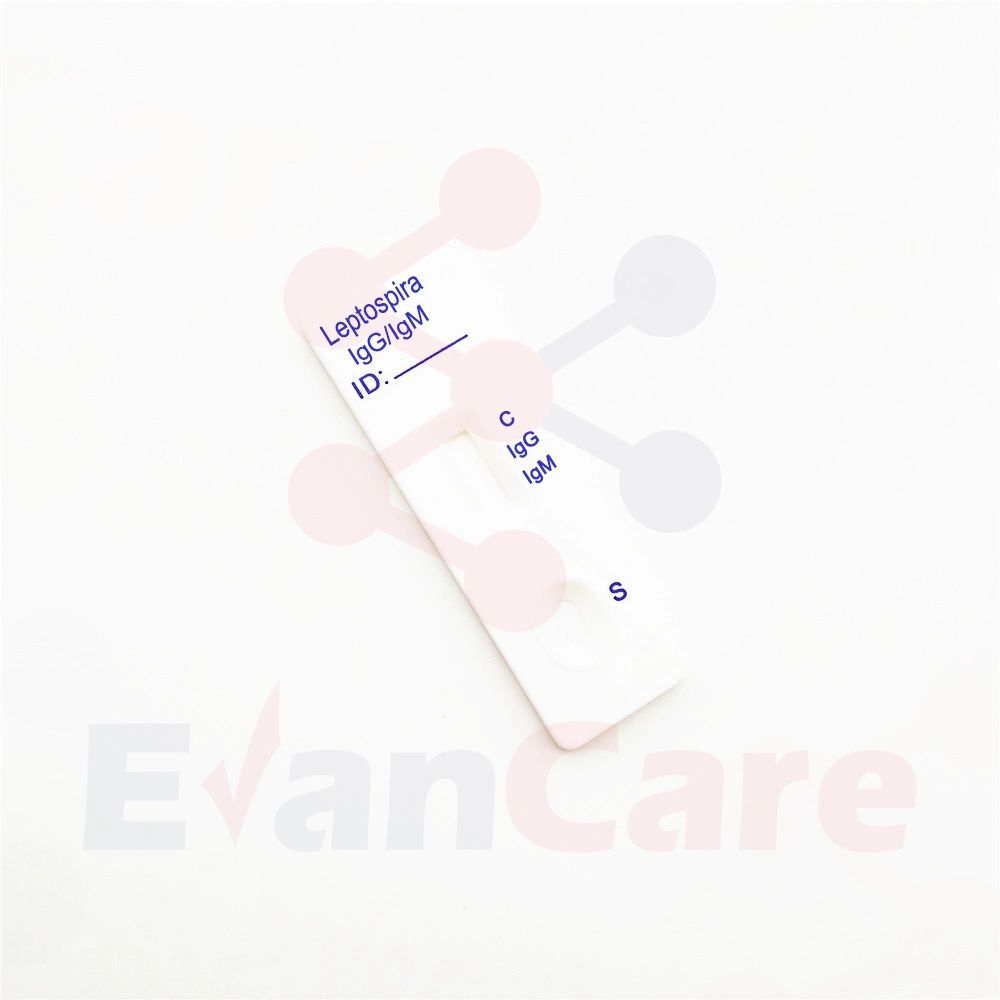 CE Approved Tropical Disease Diagnostic Equipment Rapid Leptospira Igg Igm Test