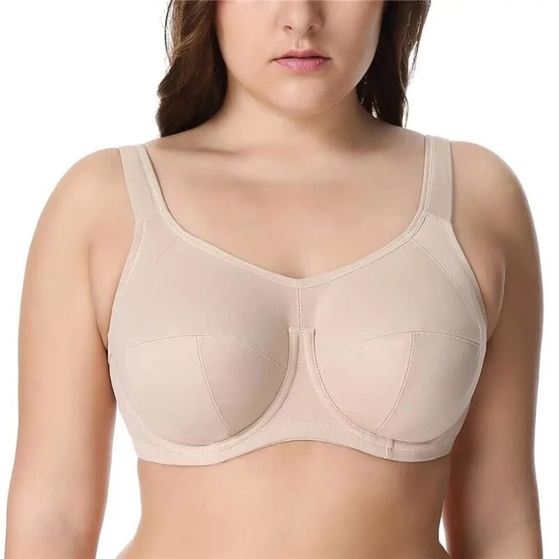 Ladies Plus Size Bra Big Size Bra with Wire Underwear Fashion Sexy Lingerie--BSCI/Walmart Audit