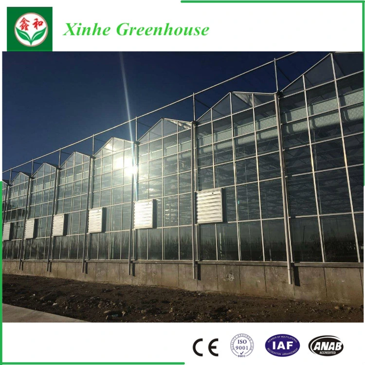 Automatic Control System Glass Green House for Agriculture