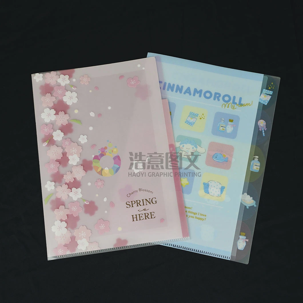 China Wholesale/Supplier Company Large Capacity Color Folder Printing Packaging