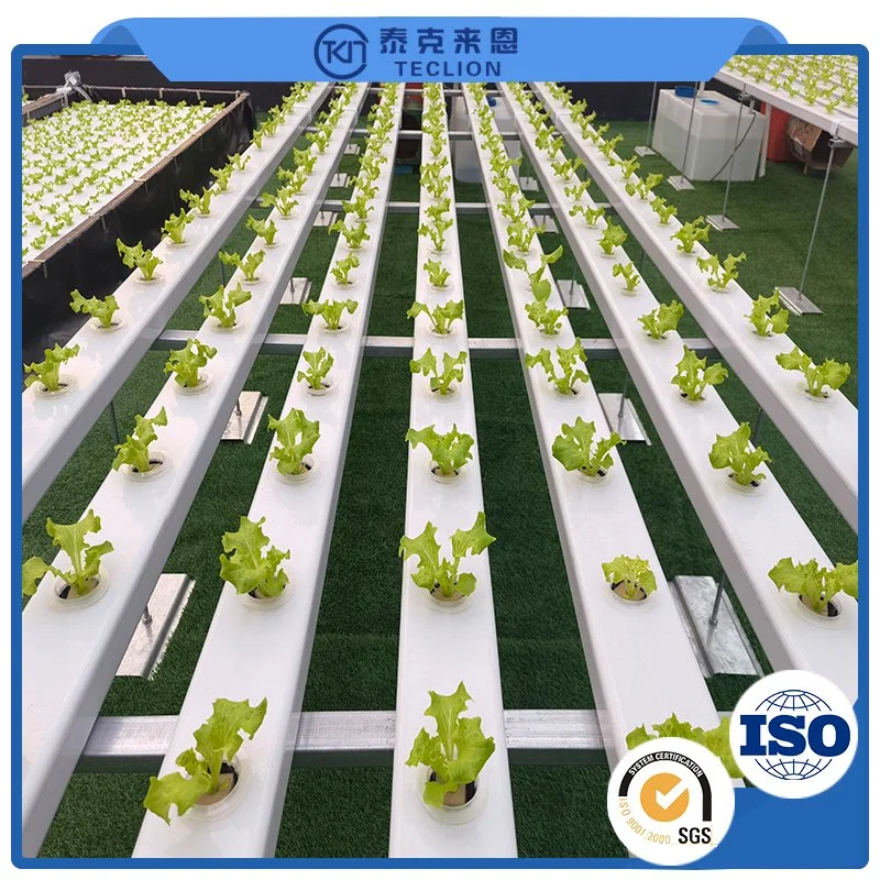 9600 * 650 * 2500mm Tomato Container Intelligent System Automatic Container Greenhouse Farm Multi-Layer Indoor Plant Growth Lamp