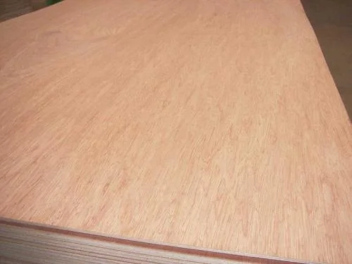 Natural Okoume Veneer Faced Commercial Plywood for Furniture