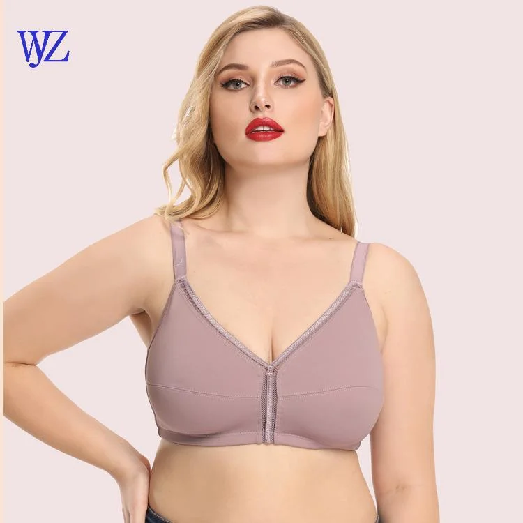 Wholesale/Supplier Big Cup Size Top Quality Plus Size Fancy Womens Girls Bra