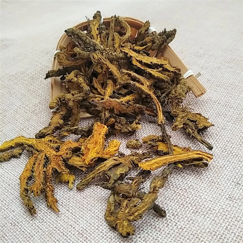 Huang Lian Bulk Nature Herb Medicine Coptis Chinensis Root Goldthread Herbs