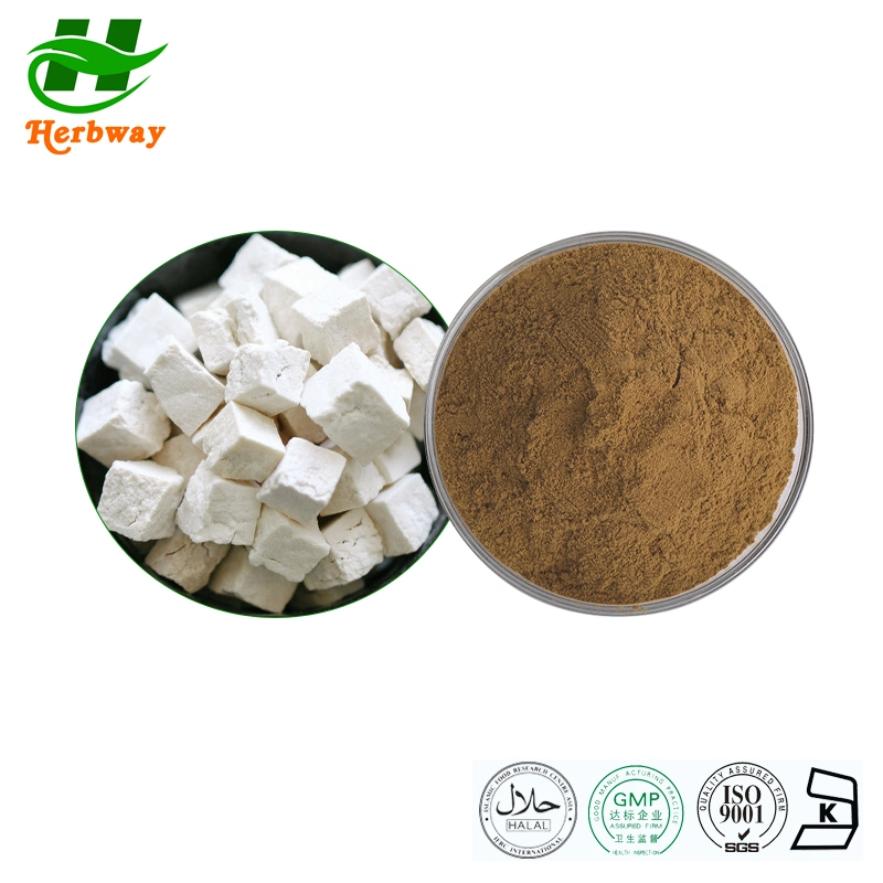 Herbway Plant Extract Free Sample Pharmaceutical Poria Cocos Extract for Ajudar o sono a 50% polissacarídeo