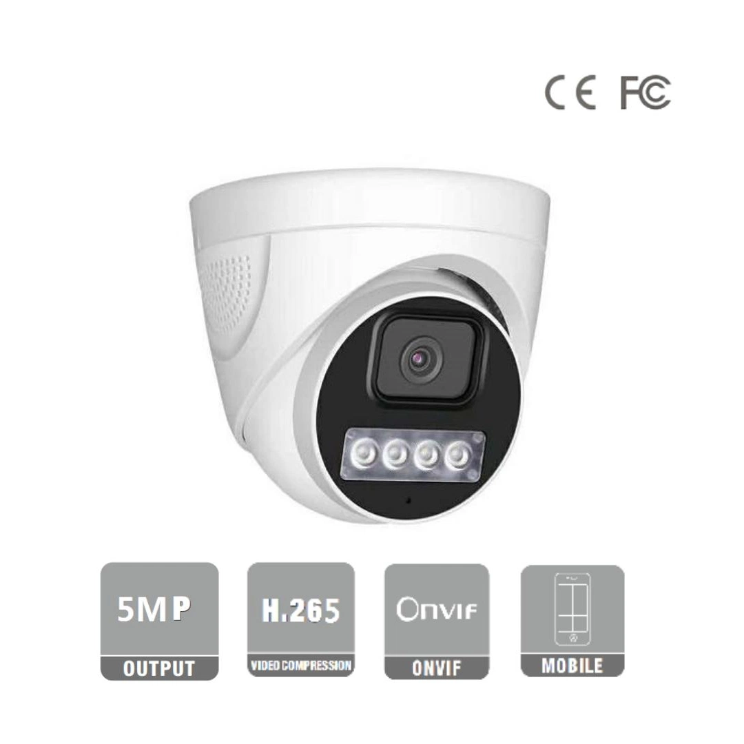 Fsan Outdoor Fullcolor Fixed Dome Humanoid Capture Detection IP Security Camera