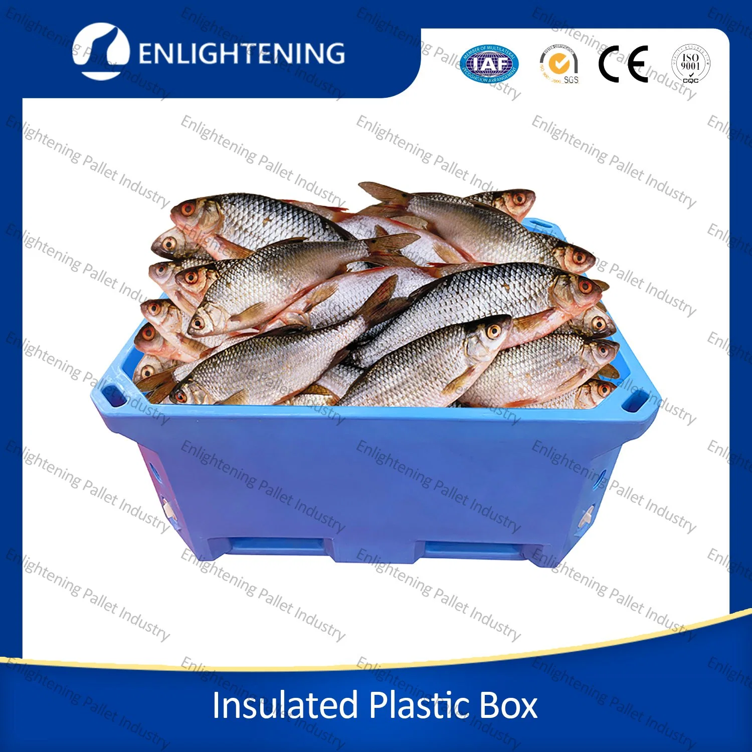 300L/660L/1000L Rotomolded Double Wall LLDPE Insulated Fish Boxes for Fishing and Fishery