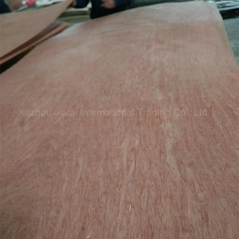 1-time UTY Plywood (1.6mm-25mm) Packing and Construction for South East Asia Market