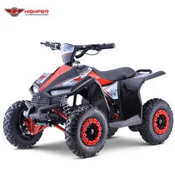 New Electric 4 Wheeler Kids ATV Bike 1000W 36V