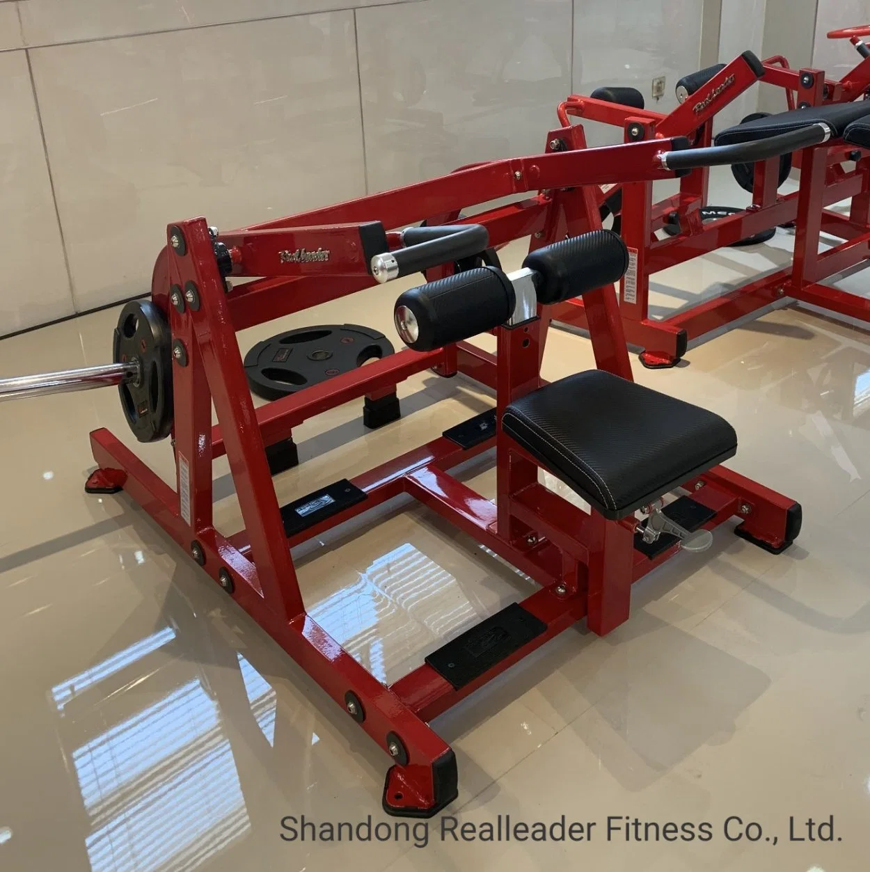 Wholesale Professional Triceps Extension Gym Equipment Plate Loaded Series (RS-1031)