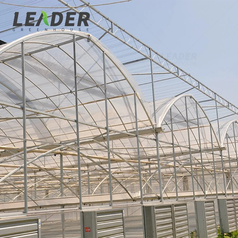 Agricultural Multi-Span Plastic Tunnel Film Greenhouse