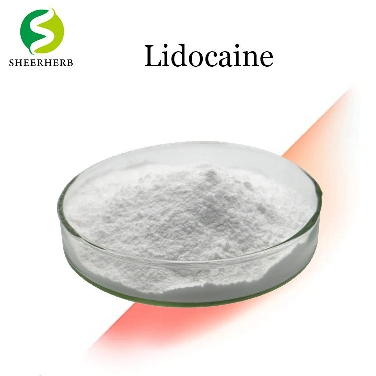 Hight Quality Medicine Raw Material Lidocaine Hydrochloride Anti-Pain Lidocaine 99% Lidocaine Powder