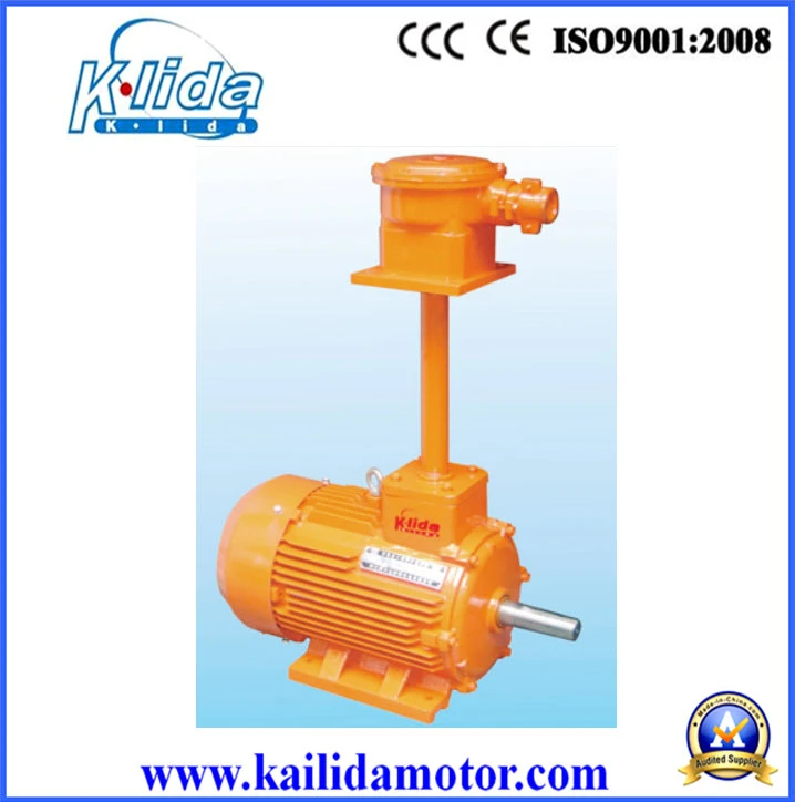 300 Kw Ventilation Flameproof Blower Motor