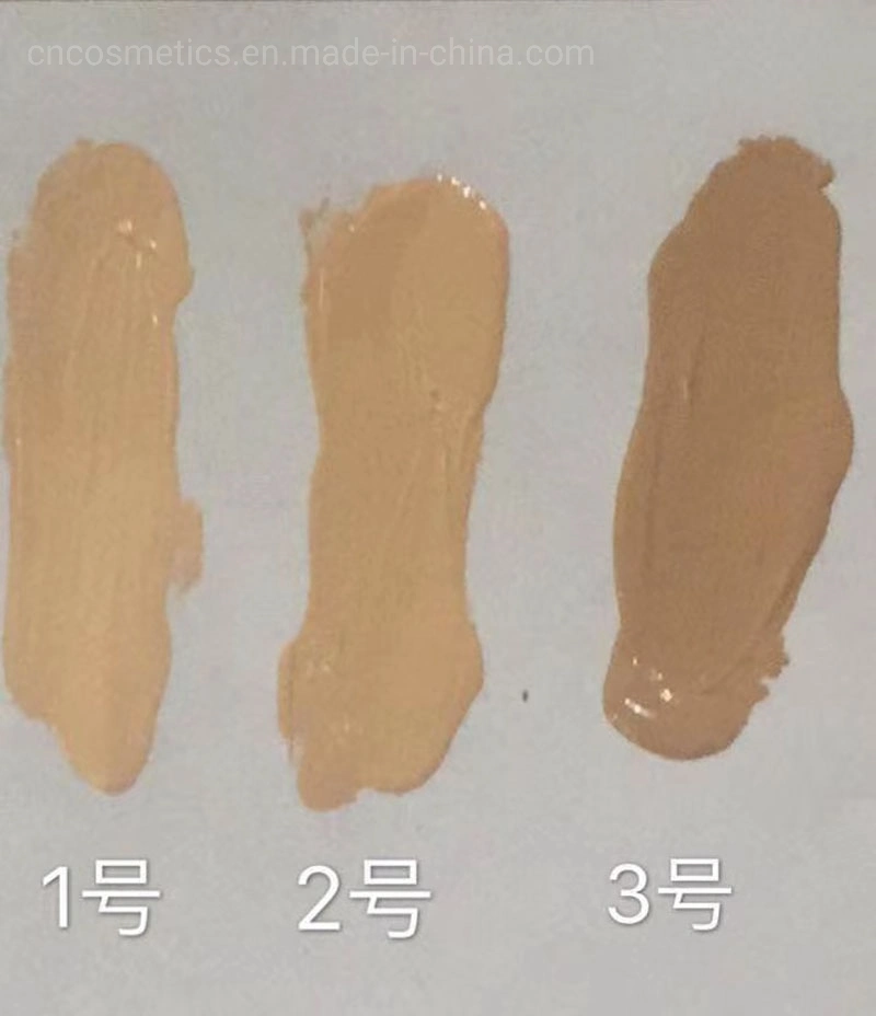 OEM Beauty Cosmetics Brightening Face Care Moisturizing Waterproof Liquid Foundation Makeup