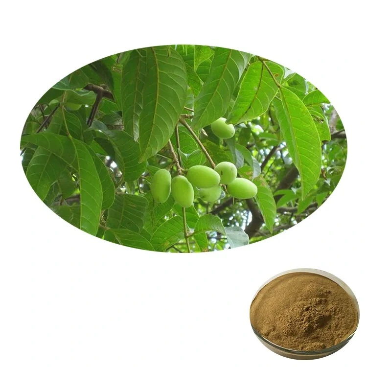 Top Sale Guaranteed Quality New Olive Leaf Extract Power 5% ~98% Oleuropein