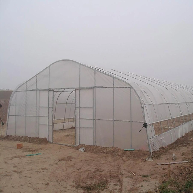 WMGH034 الزراعة متعددة المدى الدفيئة الزجاجية Hydroponic Green house