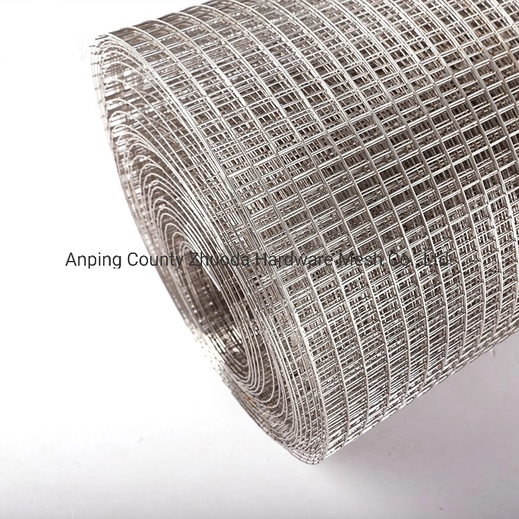 China Zhuoda Galvanized Wire Mesh Amazon Ebay Hot Sale