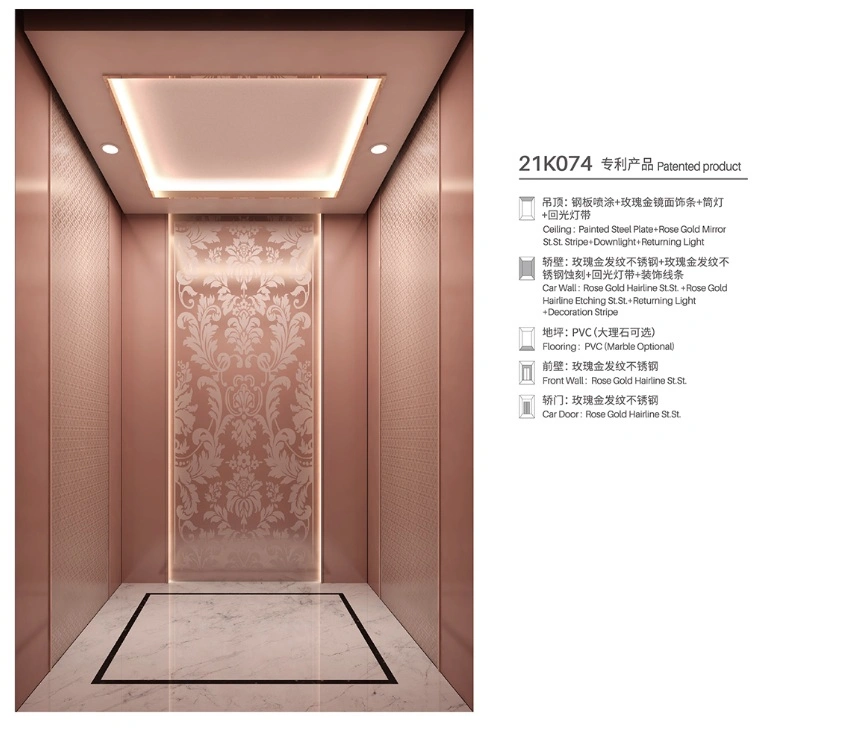 Leading Brand Panoramic Passenger Elevator with Rose Gold Stainless Steel