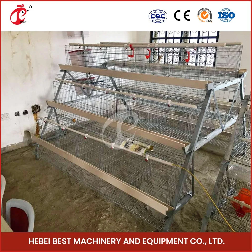 Bestchickencage a Type Layer Cage China Cute Chicken Layer Coop Factory High-Quality Furnished Cages for Laying Hens Configuration Chicken Cage Cover