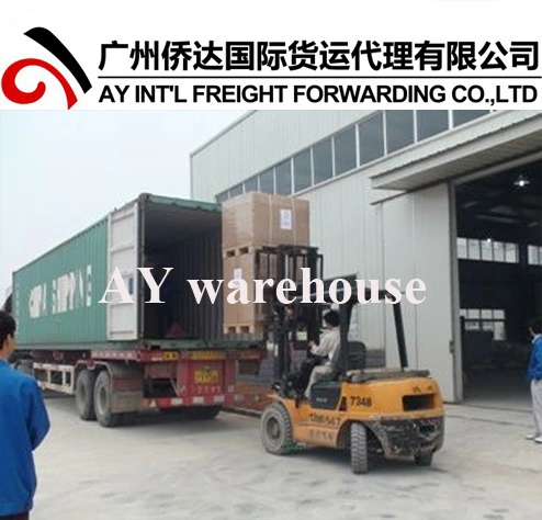 China Forwarder From Guangzhou/Shenzhen/Ningbo/Shanghai to Kuf Samara