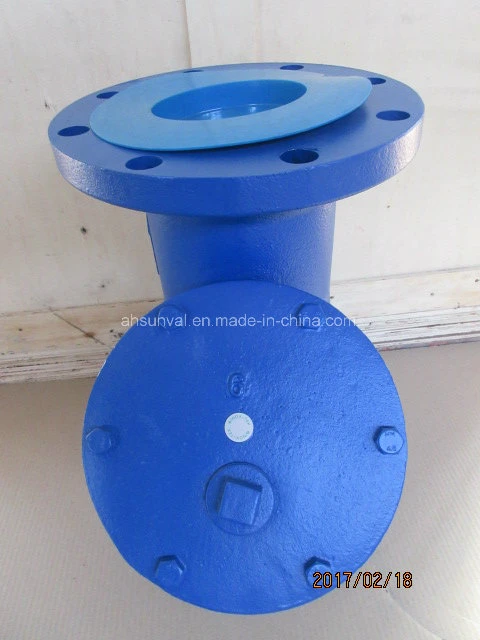 125 Class Flat Flang Y Type Strainer/ANSI Cast Iron Class 125 Flat Flange Y Type Strainer