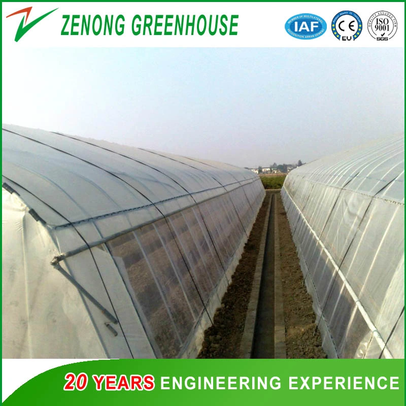 Economic Single Span 200 Micron Film High Poly Tunnel Greenhouse for Vegetable