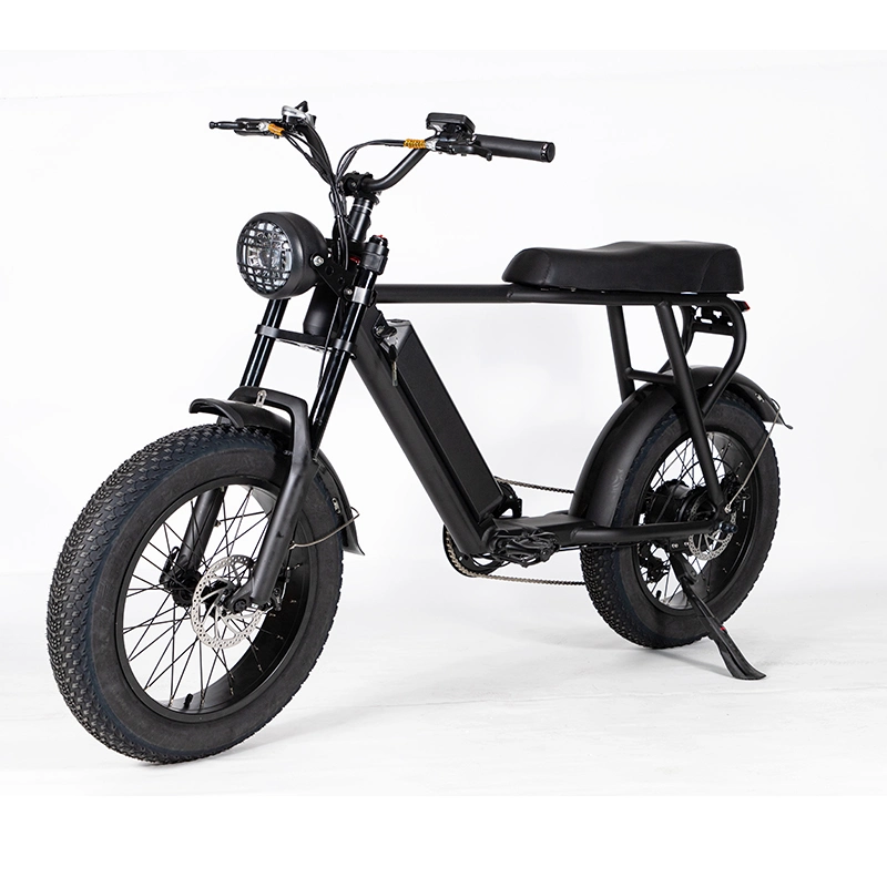 500W Brushless High-Speed Electric Bike 20ah Lithium Battery 20 Inches