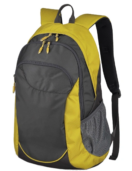 Ordenador portátil bolsas de deporte de viaje Mochila (SB2075)