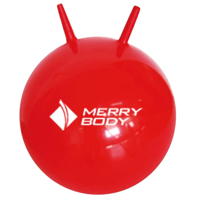 Double Color PVC Yoga Gym Ball